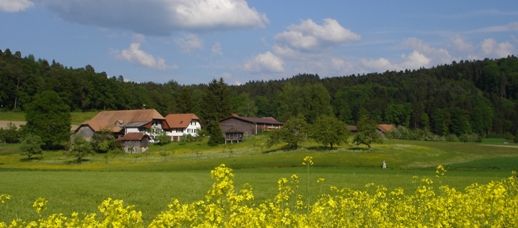 Bild von der Natur