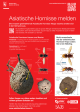 Asiatische Hornisse erkennen und melden
